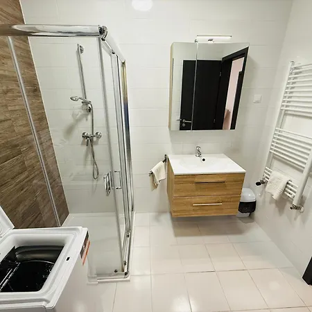 Leda Iii Aranypart *